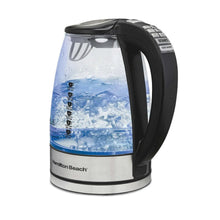 Electric glass kettle with black handle and lid, blue water level inside