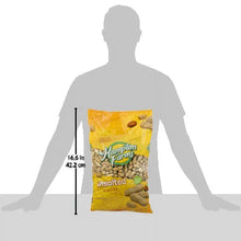 Hampton Farms unsalted roasted peanuts bag with size shown: 16.6 in tall.