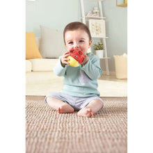 Baby holding a red-and-yellow ladybug rattle toy on a rug