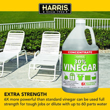 Harris 30% concentrated vinegar bottle near outdoor lounge chairs with red-green label