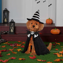 Halloween witch dog decoration: tan plush dog wearing striped black hat and black cape