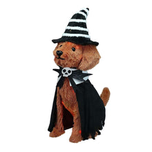 Witch dog decoration, striped black hat and black cape with skull bow; full body view