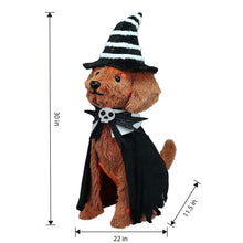 Witch dog decoration, striped black hat and black cape with skull bow; side view