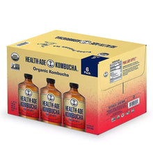 Kombucha 6-pack carton with six brown bottles and visible side label