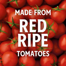 Red ripe tomatoes on the vine, ketchup ingredient