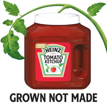 Tomato ketchup bottle with white cap and green tomato leaf accents on label