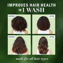 Shampoo before-and-after hair health panel with styled hair views