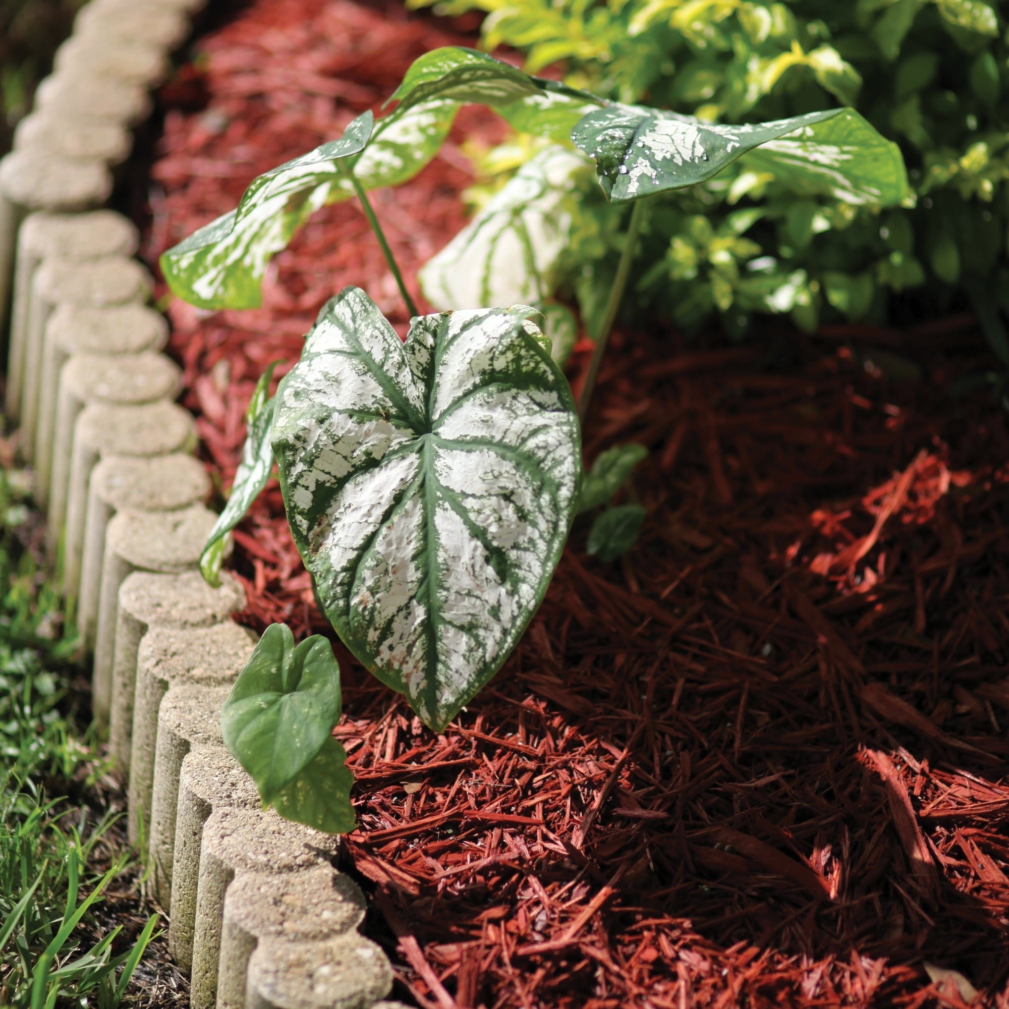 Hyponex by Scotts Mulch, for Landscapes and Gardens, 1.5 cu. ft. (Pack of 2)
