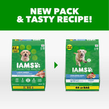 IAMS Proactive Health large breed adult dry dog food, 44 lb bag, new pack
