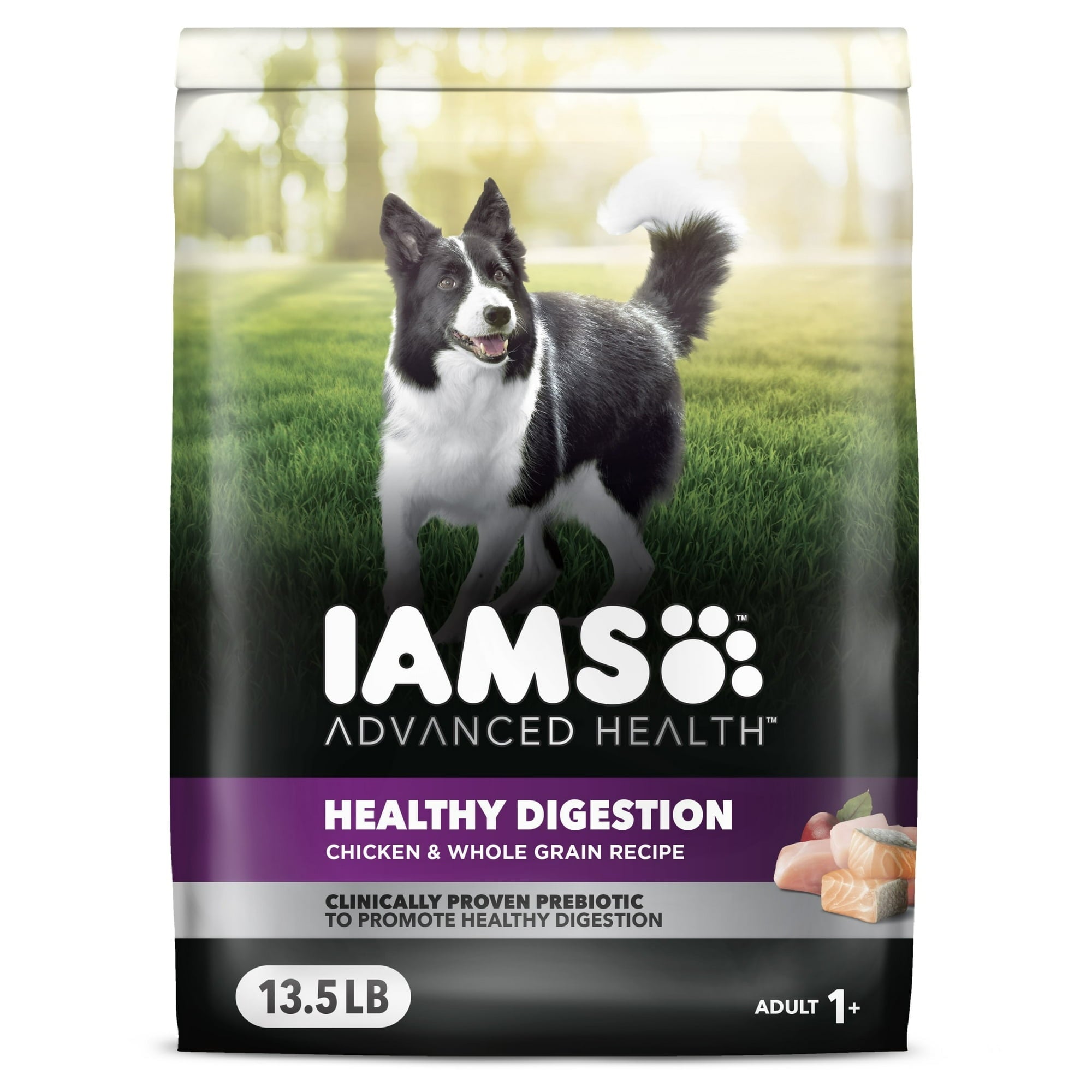 Iams Advanced Health Healthy Digestion Adult Dry Dog Food With Real Chicken