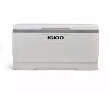 Igloo 150-Quart Maxcold cooler, white body with gray lid band and front panel