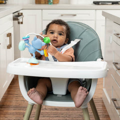 Infantino Stick & Spin Raccoon Pal Suction Attachment Toy, 4+ Months, Multicolor