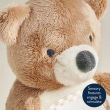 Close-up plush bear sensory tummy time toy face with mirror panel detail