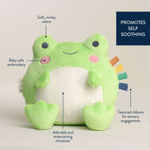 Green frog plush with embroidered face, soft velour texture, and sensory ribbon segments