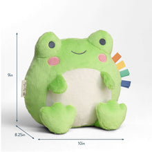 Light green frog plush with white belly, pink cheeks, and multicolor ribbon tags