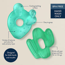 Two green water-filled cactus teething toys with textured cooling surface
