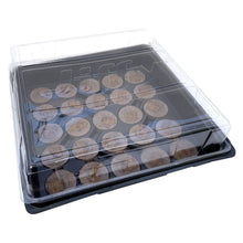 Clear plastic seed tray filled with peat pellets