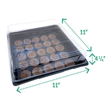 Clear seed tray with peat pellets and size guide arrows