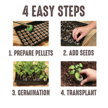 Peat pellet planting instructions card with 4 easy steps
