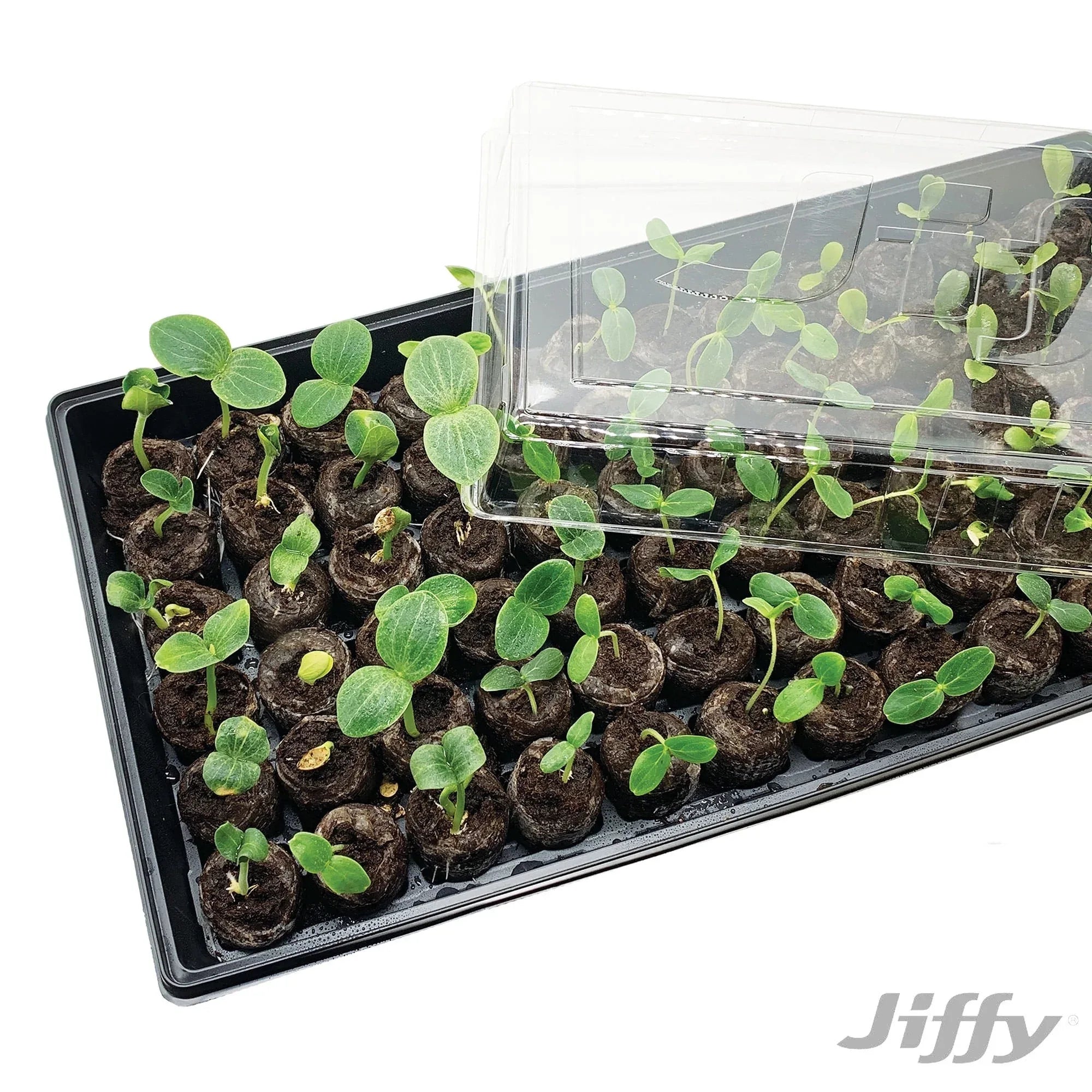 Jiffy 72 Cell Greenhouse Seed Starter Kit with 36mm Peat Pellets