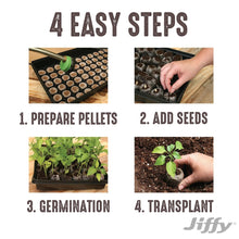 Seed starter kit instruction card showing four step panels for preparing and transplanting