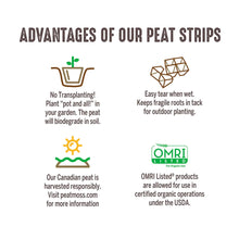 Peat strip benefits infographic with icons and short feature descriptions