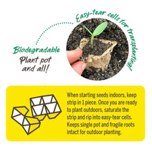 Peat strip planting tips graphic with easy-tear cell illustration