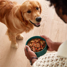 Wet dog food in a bowl being offered to a golden retriever