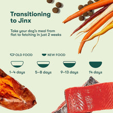 Transitioning to Jinx feeding schedule graphic with carrot and sweet potato