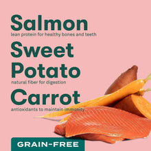 Salmon Sweet Potato Carrot dog food recipe graphic with salmon and root vegetables