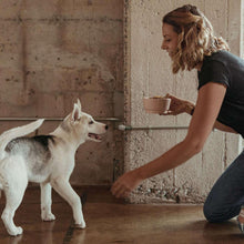 Person kneeling to feed a dog with dry food in a scoop