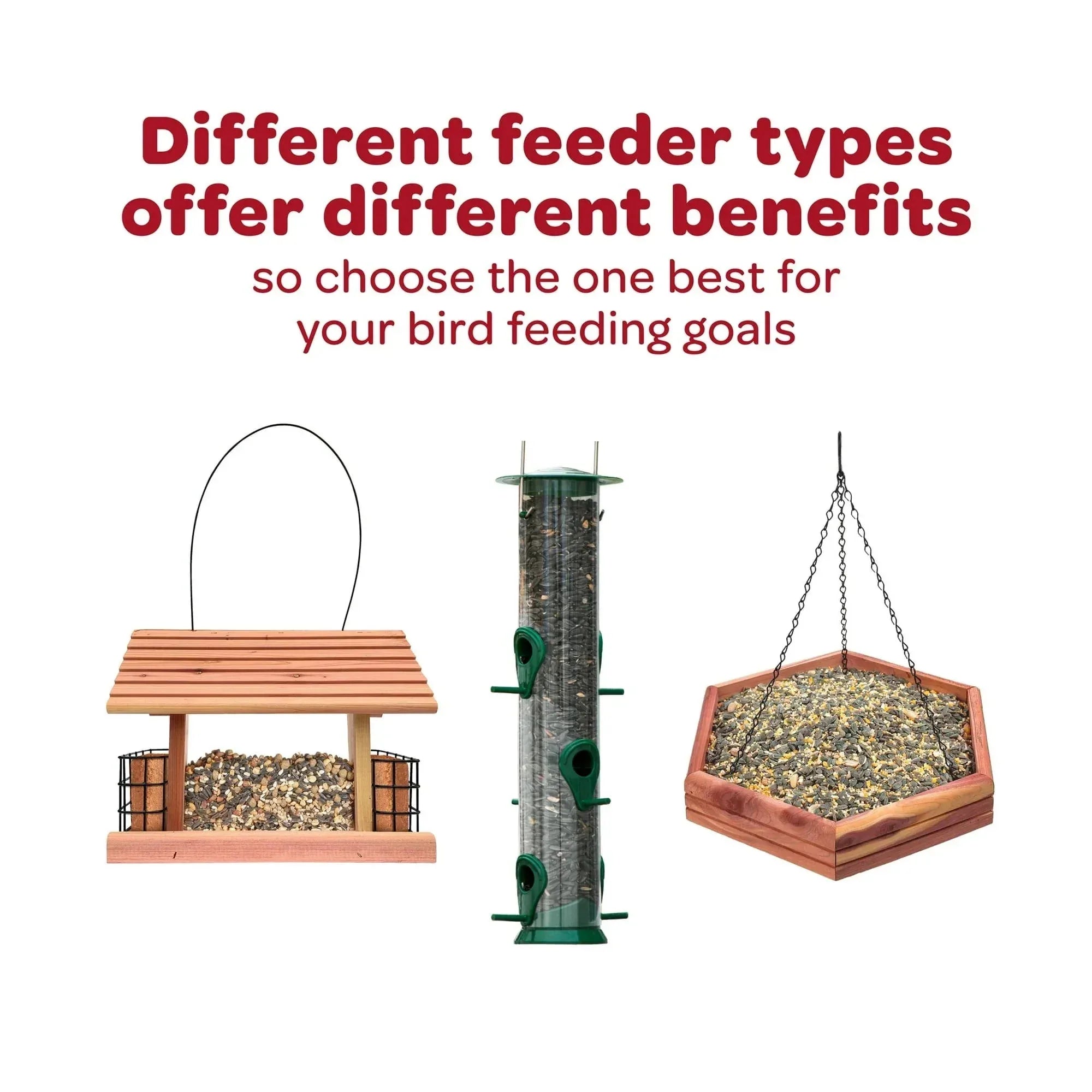 Kaytee All American Wild Bird Stand Up 5 Pounds - USA MEGA SHOP