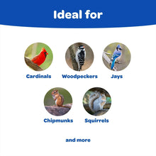 Wildlife feeding guide graphic listing cardinals, woodpeckers, jays, chipmunks, squirrels