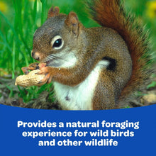 Squirrel holding in-shell peanuts on green foliage