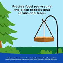 Illustration of a hanging bird feeder near shrubs and trees for year-round feeding