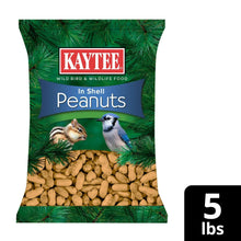 In-shell peanuts wild bird feed bag, 5 lb size with illustrated birds and peanuts