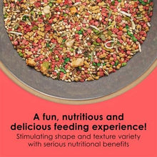 Close-up of assorted canary and finch seed mix in a shallow dish