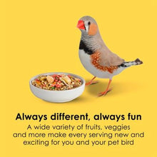 Pet bird standing by a bowl of assorted seeds on a fun nutrition card