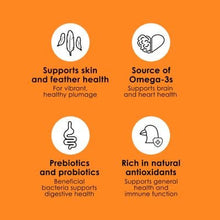 Pet bird health benefit icons for skin, omega-3, prebiotics, antioxidants