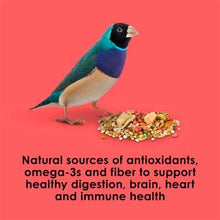 Pet bird beside colorful seed mix on a health benefits graphic