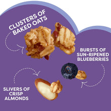 Granola ingredient graphic with baked oats, sun-ripened blueberries, and almond slivers