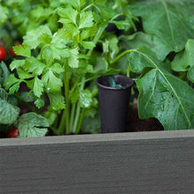 Raised garden bed interior with leafy greens and a small black cup near the soil
