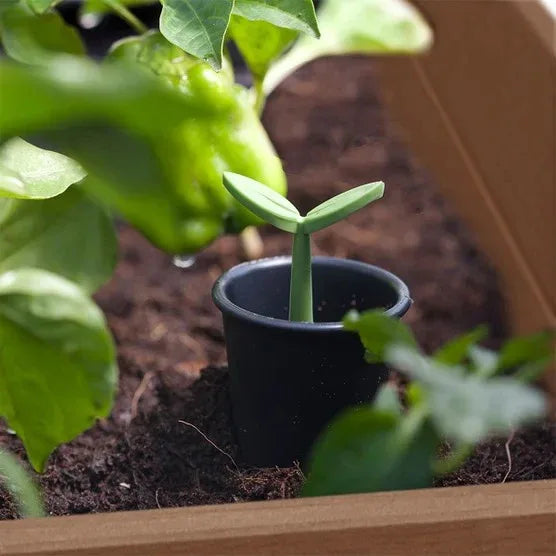 Keter Darwin 29 Gallon Raised Garden Bed and Self Watering Planter Box