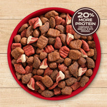 Triple steak flavor dry dog food kibble pieces in red bowl, 20% more protein