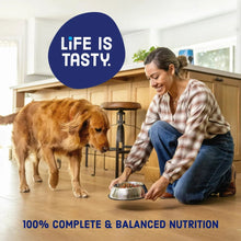 Person feeding a dog from a metal bowl with dry dog food, indoor home setting