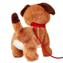 Brown plush bulldog with red collar, facing away with leash cord attached