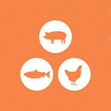 Animal icon set for seasoning label: pig, fish, and chicken