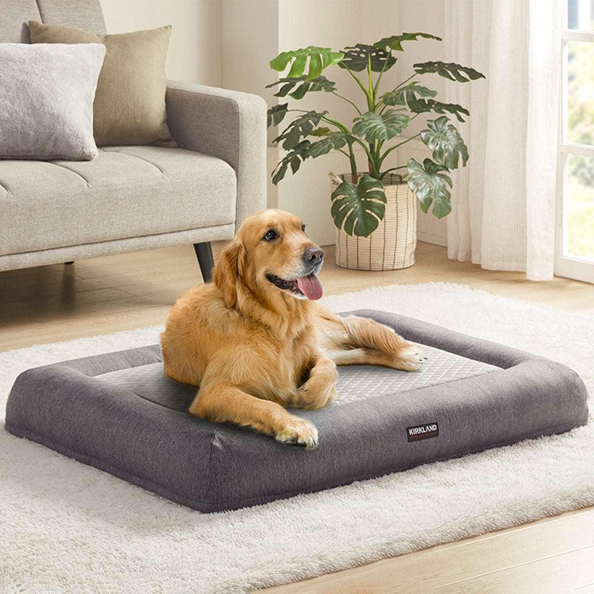 Kirkland Signature 2-in-1 Bolster Pet Bed - USA MEGA SHOP