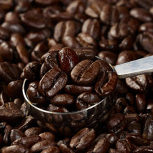 Roasted coffee beans with metal scoop, dark brown beans on spoon