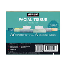 Facial tissue box front, teal packaging, unscented white 2-ply tissues, 30 cartons